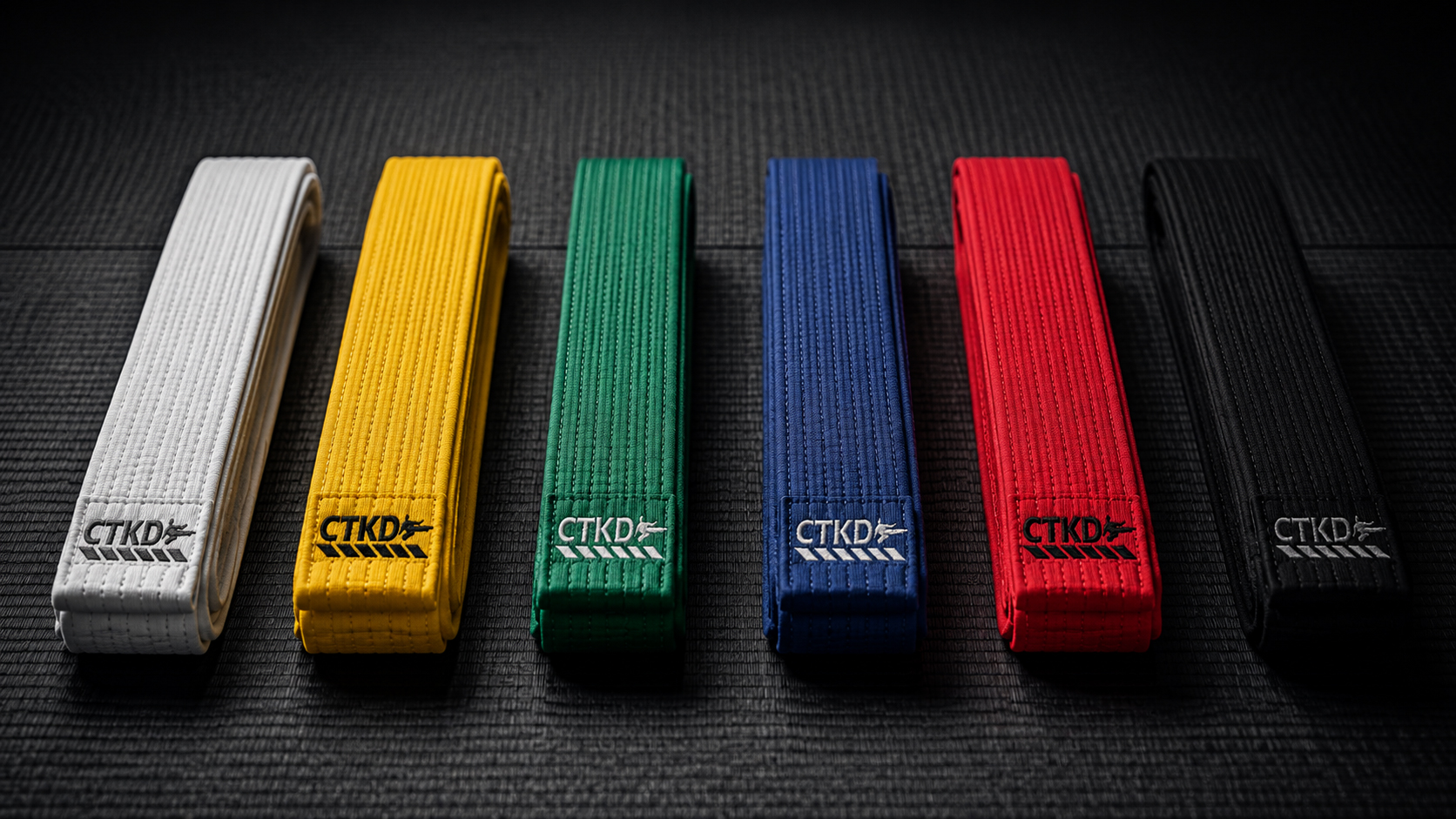 Coniston Taekwondo belt progression